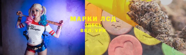 первитин Анива