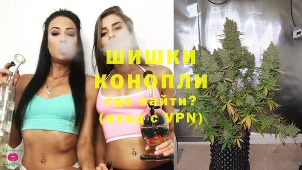 тгк Ладушкин