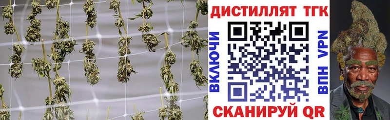 ТГК концентрат  Купить где  Кашира 